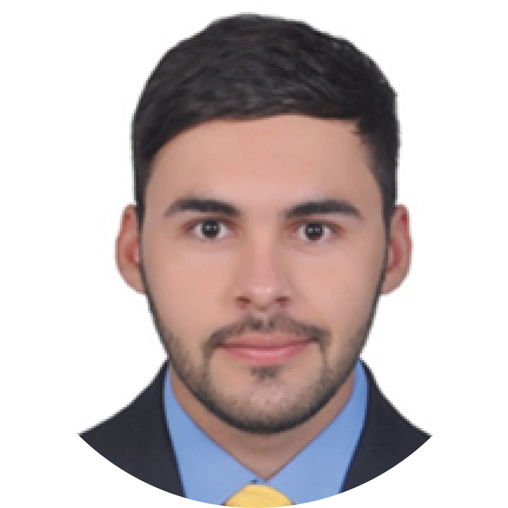 Carlos Alberto Pacheco Ponente Carlos Alberto Pacheco