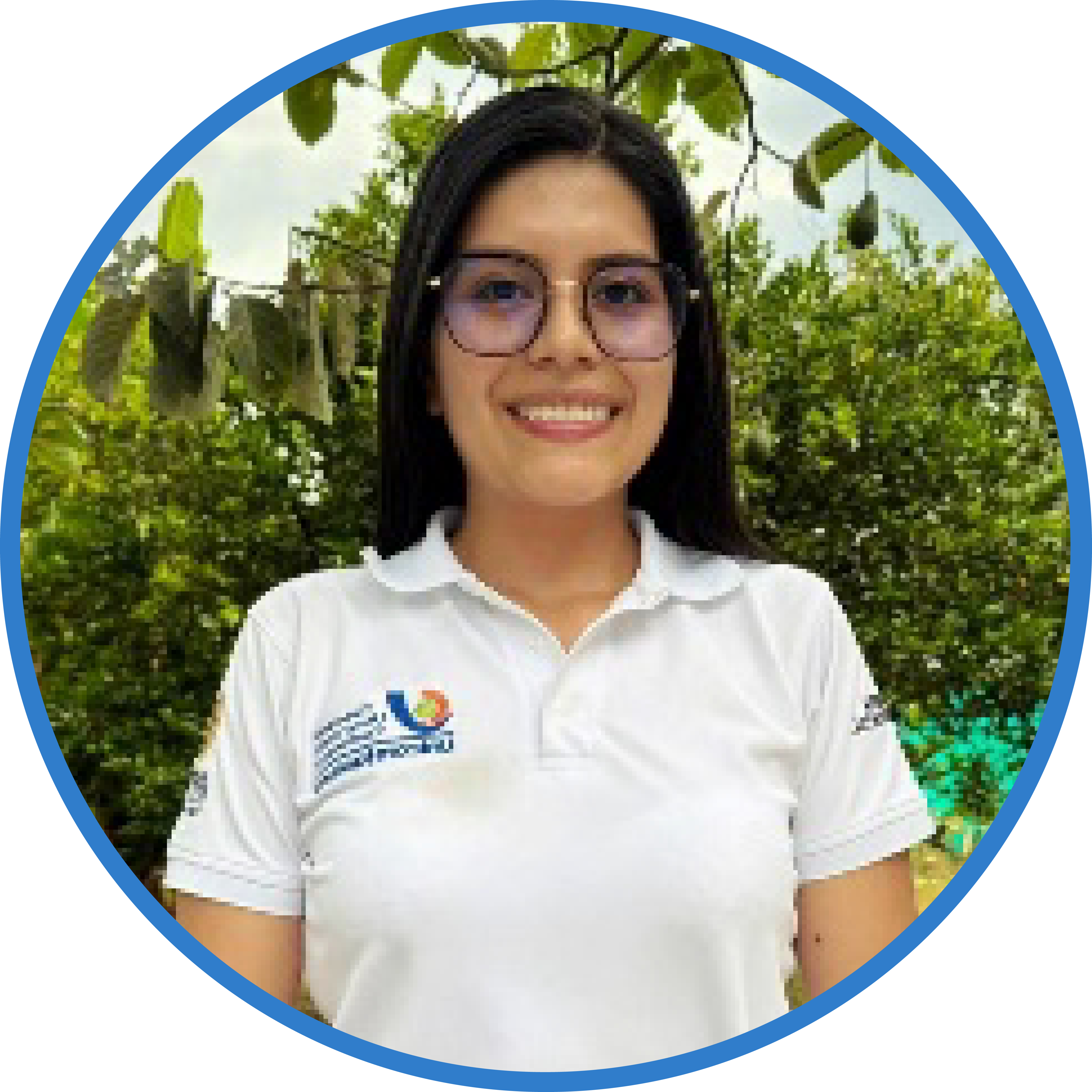 Representante estudiantil ante la Facultad de Ingeniería