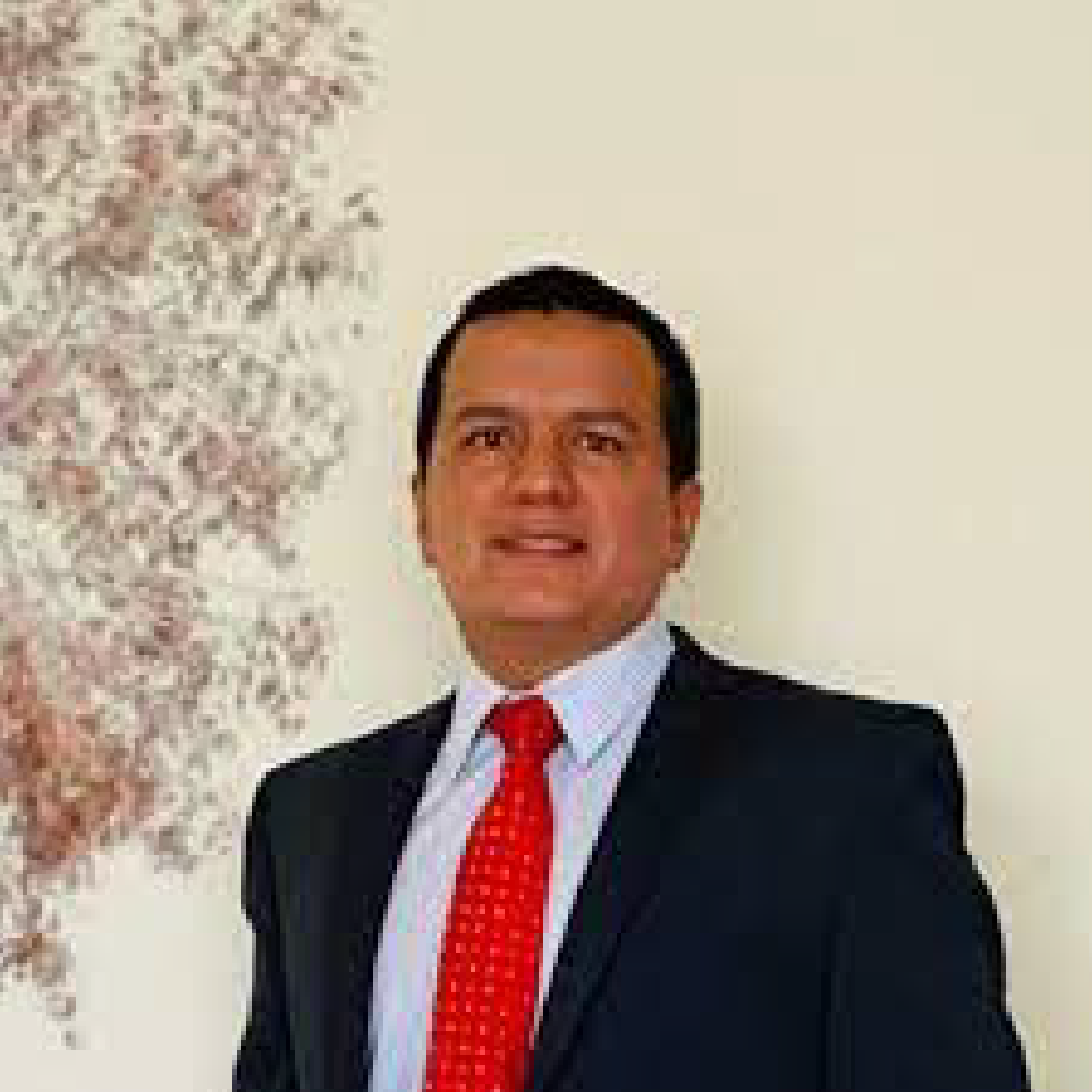 Luis Angel Meneses