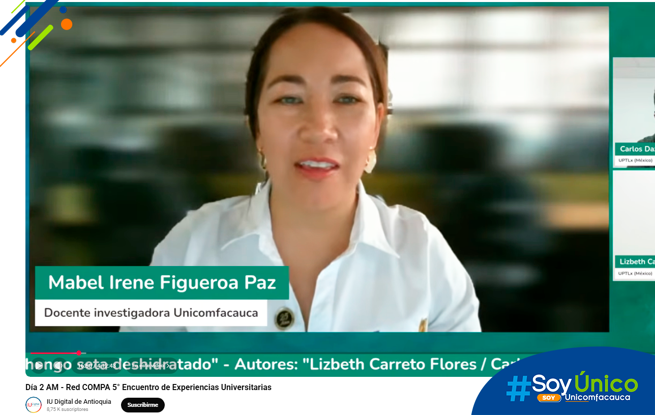 Docente investigadora Mabel 