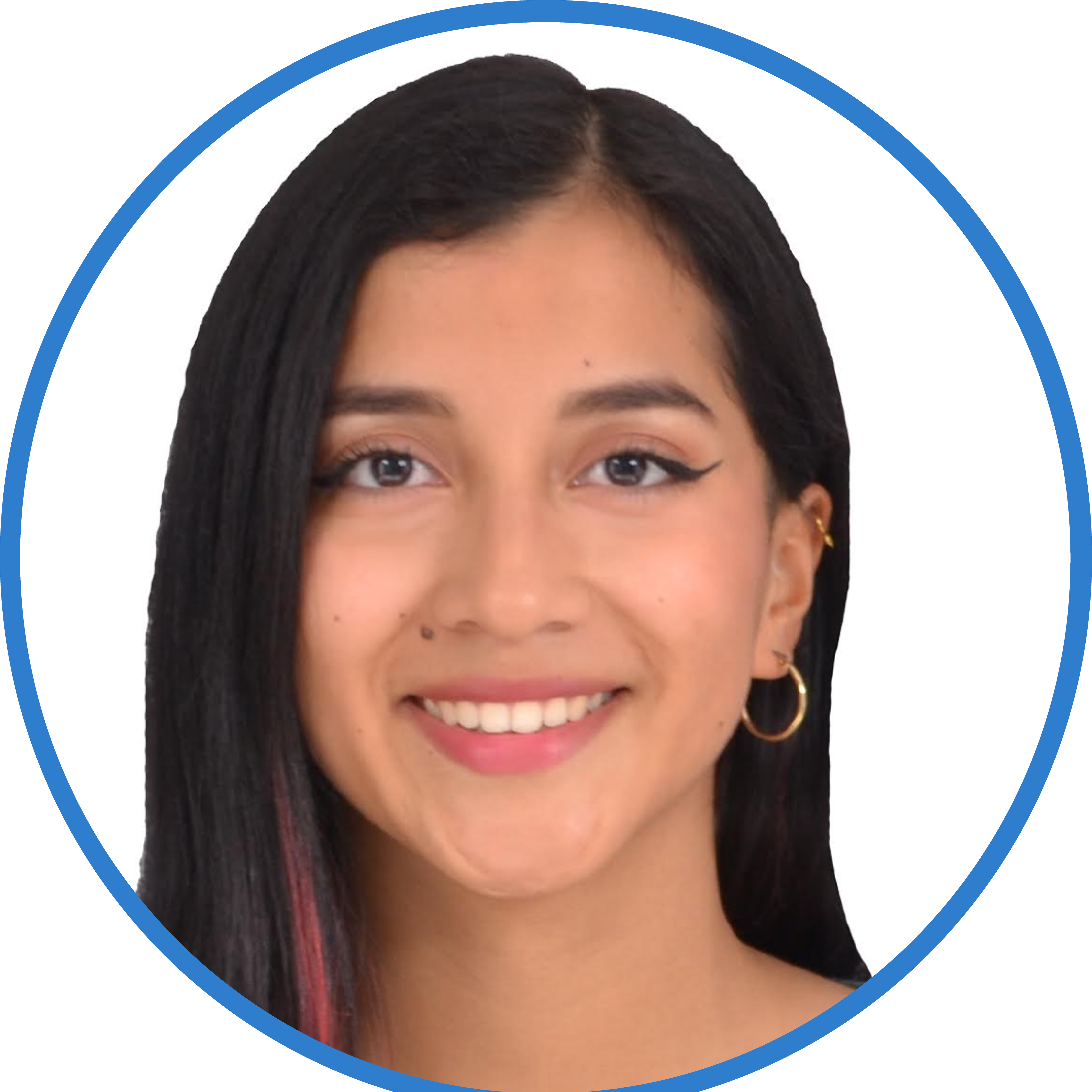 Representante en el Consejo de la Facultad de Humanidades, Ciencias Sociales, Artes y de la Educación 2025